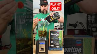 Plant Based Engine Oil engineoil oilchange havoline [upl. by Vierno923]