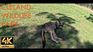 Mount Lofty amp Cleland Wildlife Park｜South Australia 🇦🇺｜4K Walking Tour｜Driving Tour [upl. by Drice203]