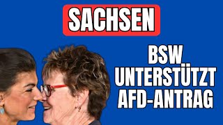 CoronaUntersuchungsausschuss BSW unterstützt AfDAntrag [upl. by Hertzfeld337]