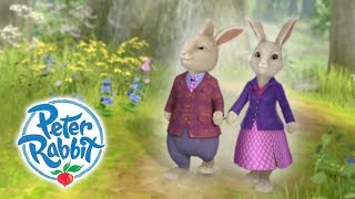 Peter Rabbit  Parents Day  Curious Bunnies  Cartoons for Kids [upl. by Lenette]