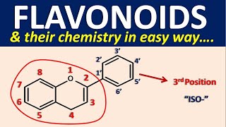 Flavonoids and their chemistry in easy way [upl. by Bilow]