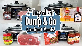 10 Cheap amp Fancy Crockpot Dinners  The EASIEST 2Ingredient Slow Cooker Recipes  Julia Pacheco [upl. by Ahsayn]