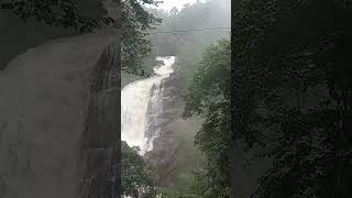 waterfall water monsoon rain travel vlog weather kerala munnar hills mountains share [upl. by Grigson]