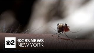 New York confirms first human EEE case since 2015 [upl. by Rehpotsrihc553]