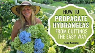 How To Propagate Hydrangeas From Cuttings the Easy Way [upl. by Neiman]