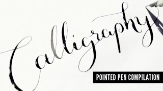 Pointed Pen Calligraphy Compilation [upl. by Goldina588]