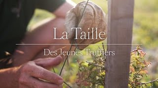 La Taille des Jeunes Truffiers [upl. by Weidar]