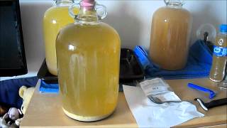 Wurzels Orange Wine Part 2 WOW [upl. by Dorene]