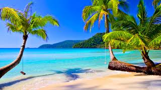 4k UHD Tropical Beach amp Palm Trees on a Island Ocean Sounds Ocean Waves White Noise for Sleeping [upl. by Bearce155]