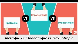 Discuss Chronotropic Inotropic Dromotropic Bathmotropic actions and Idioventricular rhythm [upl. by Muhcan565]