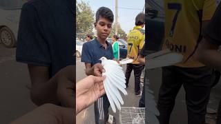 Pet market mai fancy anokhe pets mile minivlog reels pet parrot kabootar birds pets vlog [upl. by Lull]