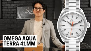 Omega Aqua Terra 41mm A Watch for Everyday Elegance  SwissWatchExpo [upl. by Llenra441]