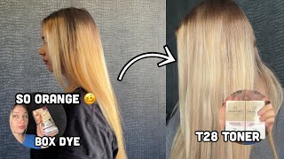 Doing My Own Balayage At Home  Fixing The Oranginess With Wella T28 Toner [upl. by Ahsieka]