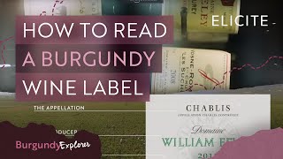 How To Read A Burgundy Wine Label [upl. by Ataner]