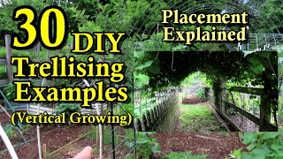 30 DIY Garden Trellising Examples Build Overview Crop Examples amp Placement Strategies [upl. by Ploch]