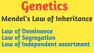 Genetics  Mendels Law of Inheritance  Pravin Bhosale [upl. by Arundel375]