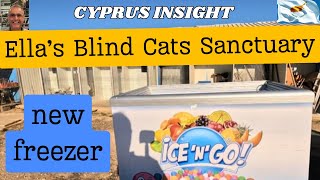 Why This New Freezer is a Total GameChanger for Ellas BlindKitties [upl. by Narhet82]