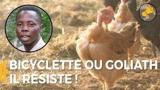 Bénin  le poulet local fait de la résistance [upl. by Enyrehtak]