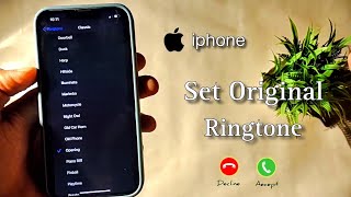 How to set original iPhone ringtone in iPhone  iPhone Opening Ringtone Not Showing [upl. by Kaufman]