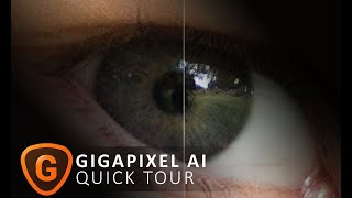 Gigapixel AI Quick Tour and Free Trial [upl. by Helali901]