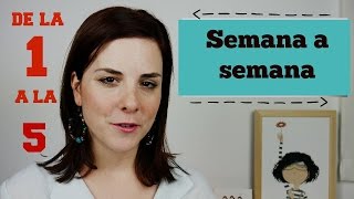 PRIMEROS SINTOMAS de EMBARAZO  PRIMER MES  SEMANAS 15 [upl. by Anadroj]