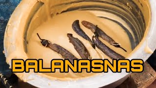 MUNTA MASALA NANG BAPA INDIAN STREET FOOD KAPAMPANGAN PARODY [upl. by Ibocaj]