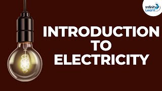 Introduction to Electricity  Dont Memorise [upl. by Seek986]