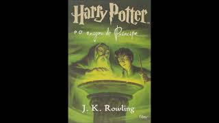 6 Harry Potter e o Enigma do Príncipe Áudio Livro Completo  Parte 1 [upl. by Brose]