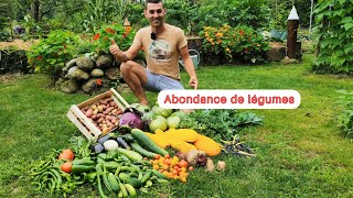 Abondance de légumes cest cool 👍👍👍 [upl. by Pablo477]