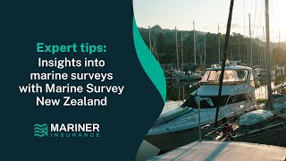 An expert insight into marine surveys with Marine Survey New Zealand [upl. by Lledner]