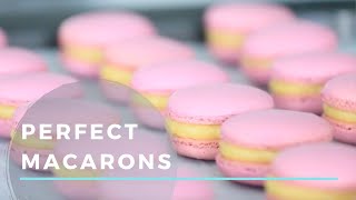 How to Make the Perfect Macarons [upl. by Connelley]