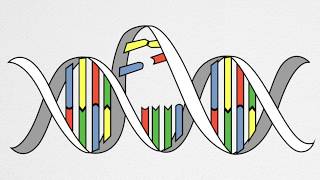 How UV Causes Cancer and Aging [upl. by Simdars]