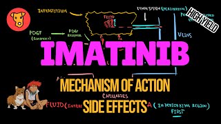 IMATINIB Gleevec Mechanism of action Side effectsPathogenesis of Periorbital edema Muscle Cramps [upl. by Nappy]