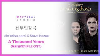 신부입장곡 Christina perri X Steve Kazee  A Thousand Years 트와일라잇 Pt 2 OST AR  MR 편집 ver  음원 편집 [upl. by Griseldis]