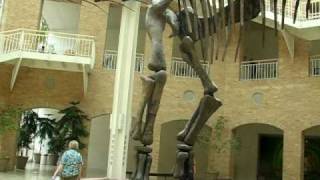 Argentinosaurus Dinosaur Skeleton Part 2  Fernbank Museum Atlanta [upl. by Rojam100]