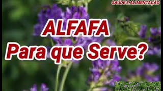 ALFAFA Para que Serve [upl. by Azar]