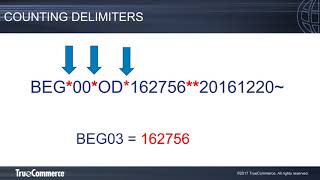 EDI Basics Reading X12 EDI [upl. by Eisyak]