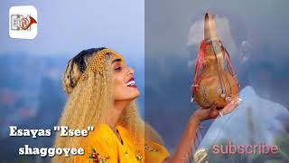 Esayas quotEseeequot Shaggooyee Ethiopian oromo music video 2020 official video [upl. by Assen886]