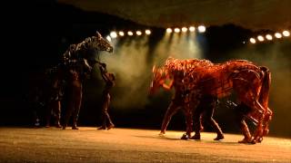 War Horse The Works  RTÉ ONE [upl. by Ayikan638]