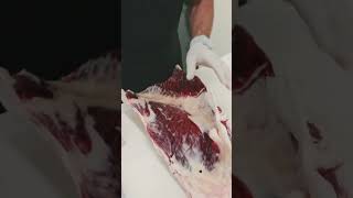 Cutting a Butterflied Flank Steak 🥩🔪 shorts beef meat steak [upl. by Nylssej]