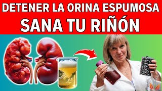 Sólo 1 Fruta Al Día Para Frenar La PROTEINURIA Y Detener La ORINA ESPUMOSA  Vida Saludable [upl. by Najib]