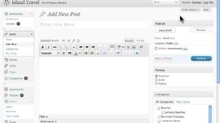 Displaying Meta Boxes in Advanced Post Options Wordpress [upl. by Schiff505]