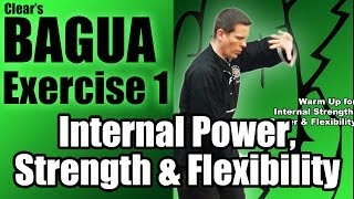 Clears Bagua Exercise 1 for Internal Power Strength amp Flexibility [upl. by Clive]