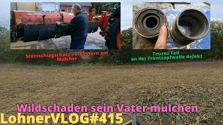 LohnerVLOG415 Wildschaden mulchen I Steinschlagschutz am Heckmulcher I Fendt 926 Frontzapfwelle [upl. by Ethelred]