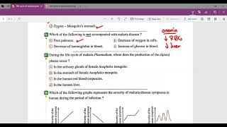 Life cycle of Malaria plasmodium HW [upl. by Prendergast65]