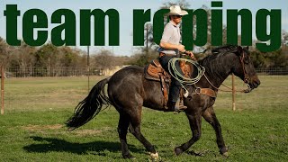 Best Rope for Team Roping Beginners [upl. by Chinua]