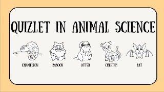 QUIZLET IN ANIMAL SCIENCE [upl. by Razaile472]