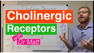 Cholinergic Receptors [upl. by Akinat]