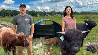 They All Have to GO Building Our OFF GRID Homestead in the WOODS [upl. by Glover236]