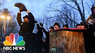 Groundhog Day 2022 Punxsutawney Phil Predicts Six More Weeks Of Winter [upl. by Llirrem]